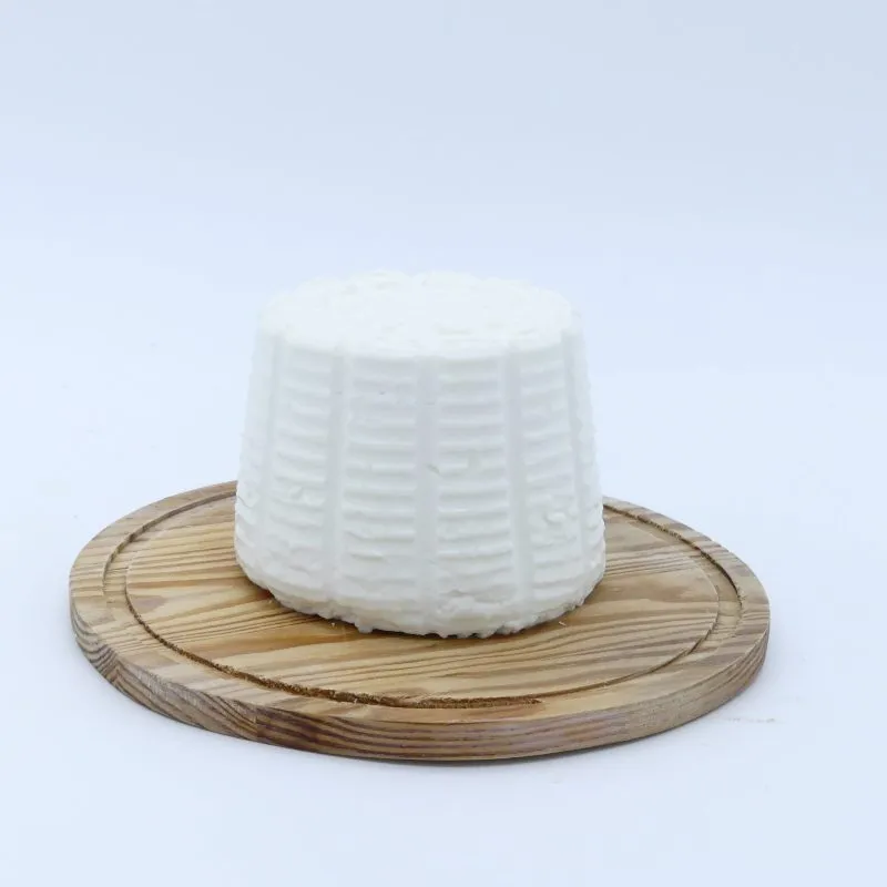 P1040875 scaled e1665087906160