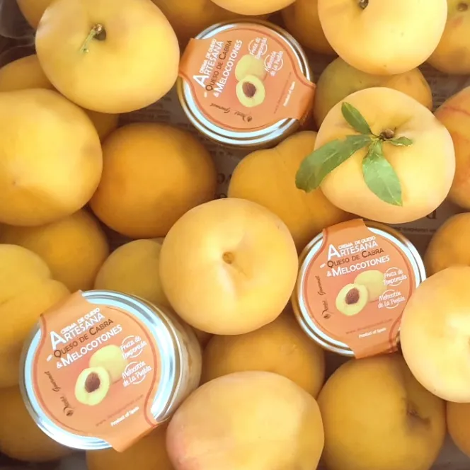 Crema de Queso Artesana con Queso de cabra con melocotones e higos 4 Crema de Queso Artesana con Queso de cabra con melocotones e higos - Imagen 3