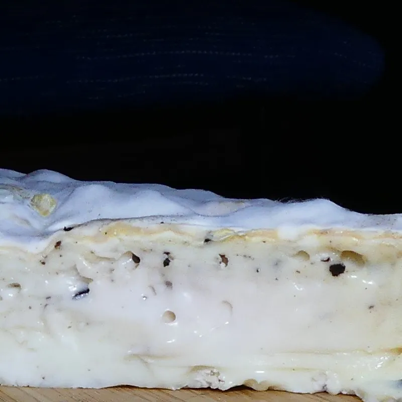 Lingote de Cabra Trufado 1 planchon3